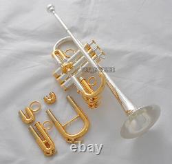 15% Sale Professional Silver/Gold Plated Eb/D Trumpet horn Monel Valve With Case