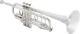 Bach 180 Stradivarius Professional Bb Trumpet Silver-plated With Gold Brass