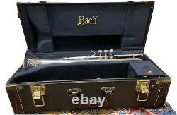 Bach 180S37 Stradivarius Series Bb Trumpet Silver Gold Brass Bell