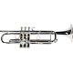 Bach Model 170s43gyr'apollo' Professional Bb Trumpet Brand New