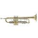 Bach Model 19037 Stradivarius 50th Anniversary Professional Bb Trumpet Brand New