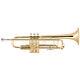 Bach Model Lt18037 Stradivarius Professional Bb Trumpet Brand New
