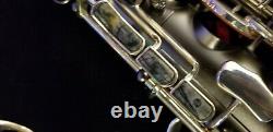Cannonball Big Bell Stone Series Hot Spur Alto Saxophone