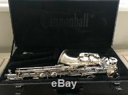 Cannonball Big Bell Stone Series Hotspur Alto Saxophone
