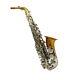 Eastern Music Copper Bell Alto Saxophone White Copper Trunk Adjustable Palm Keys