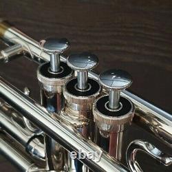 Eclipse MY bell, Bauerfiend German valve section, case GAMONBRASS trumpet