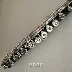 Excellent Flute Ebony C key 17 Open Hole Low B/wooden Flute Profession Band