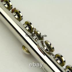 Excellent Flute Nickel plate Beginner Cupronickel key C /Gifts