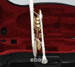 Excellent PRO C Trumpet horn Silver + Gold plated Finish Monel Valve With case