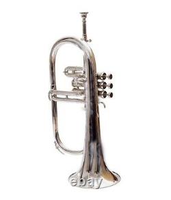 Flugel horn 3 valve new polish of Nickel Plated Bb pitch with hard case DAM-86GD