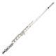 Flute Adult Student Silver Plated Professional C Key 16 Closed Cell Instrument