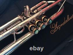 Last one Andalucia AdVance Phase III Bb Trumpet with King K20 Soprano Bugle Bell