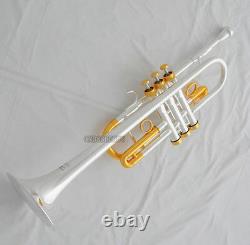 NEW Professional C Keys Trumpet Silver Gold Plated Horn Monel Valves With Case