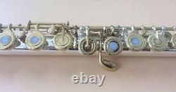 Professional 16 open hole flute C Key silver plated body Golden key Great tone