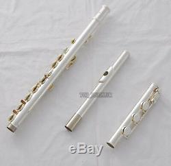 Professional 17 Open Holes Flute Silver Offset G Keys B Foot Split E With Case