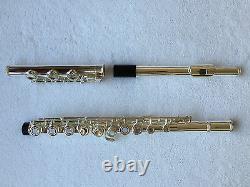 Professional 17 open hole silver plated flute E key B Foot