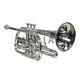 Professional Bb Cornet Nickel Expert's Choice With Hard Case And Mouthpiece