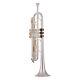 Professional Bb Trumpet Plated Surface With Mouthpiece I4w5