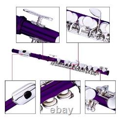 Professional C Key Piccolo Set Half Size Flute Silver Plated Cupronickel Music