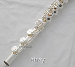 Professional Cupronickel Silver C Key Flute 17 Open Hole B Foot Split E Offset G