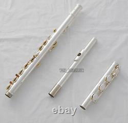 Professional Cupronickel Silver C Key Flute 17 Open Hole B Foot Split E Offset G