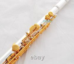 Professional FLUTE 17 Open holes Silver. Gold Plated. B foot. Italian pads
