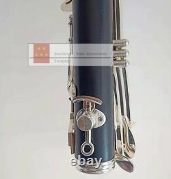Professional French G key clarinet wood body Silver plated key good sound