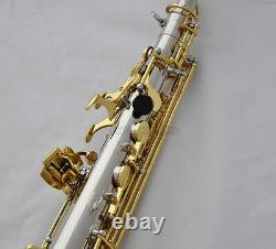 Professional JINBAO Straight Eb Alto Saxophone Silver/Gold curved bell sax +Case