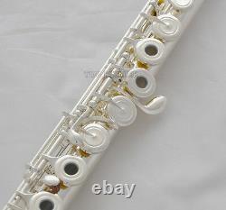 Professional New Silver 17 Open hole Flute Offset G Key B foot Split E With Case