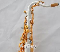 Professional Satin Silver Plated C Melody Sax Saxophone Abalone Key 2 Neck New