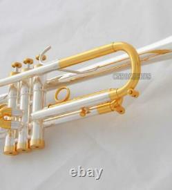 Professional Silver Gold Bb Trumpet Horn Monel Valves With Hard Case Free ship