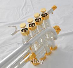 Professional Silver Gold Plated Piccolo Trumpet Monel Valve Bb/A Keys New Case