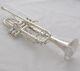 Professional Silver Plated Trumpet Taishan Brand Horn Monel Valves With Case