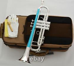 Professional TaiShan Silver Trumpet Quality horn NEW