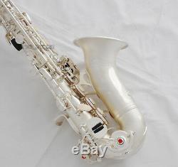 Professional new TaiShan Curved Soprano Saxophone Satin Silver Sax Italian pads