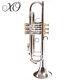 Xo 1602s Professional Series Bb Silver Plated 0.459 Bore Trumpet With Case