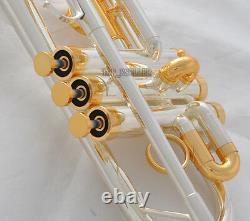15% Vente Professional Silver/gold Plaqué Eb/d Trumpet Horn Monel Valve With Case