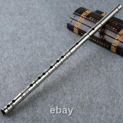 Kung Fu Titanium Flûte En Acier Instrument De Musique Traditionnel Chinois DI Zi