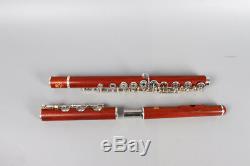 Nouvelle Flûte 17 Trous Open Silver Plated Key E Key B Foot Corps En Palissandre Professionnel