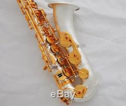 Professional Satin Silver Plaqué C Melody Sax Saxophone Abalone Key 2 Cou