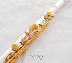 Professionnel Flute 17 Trous Ouverts Argent. Plaque D'or. Pied B. Plaquettes Italiennes