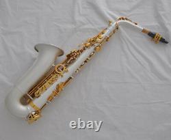 Satin Argent De Luxe Plaque Or Alto Eb Saxophone Haute F# Sax Free Metal Buchpis
