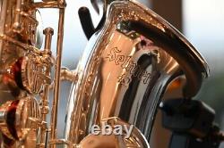 Selmer As42 Saxophone Professionnel Alto Argent Doux Utilisé Plaqué