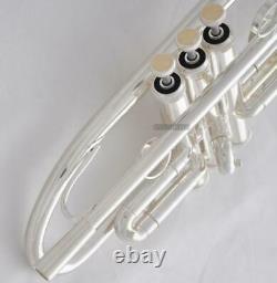 Streamline Design Trompette Argent Plaqué B-flat Horn Pour Professionnel Avec Boîtier