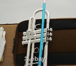 Taishan Marque Professionnel Argent Plaqué Trumpet Horn Monel Piston Avec Boîtier