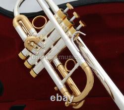 Trompette D'or Professionnel C Key Horn Avec Boîtier Livraison Gratuite