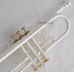 Trompette Professionnelle Inversée Silver Horn Monel Valve +case &accessoires